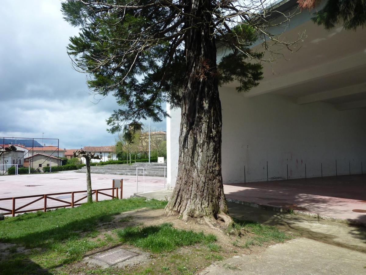 Apartamentos Rurales Imaz Etxea - Urbasa Olazagutia Room photo